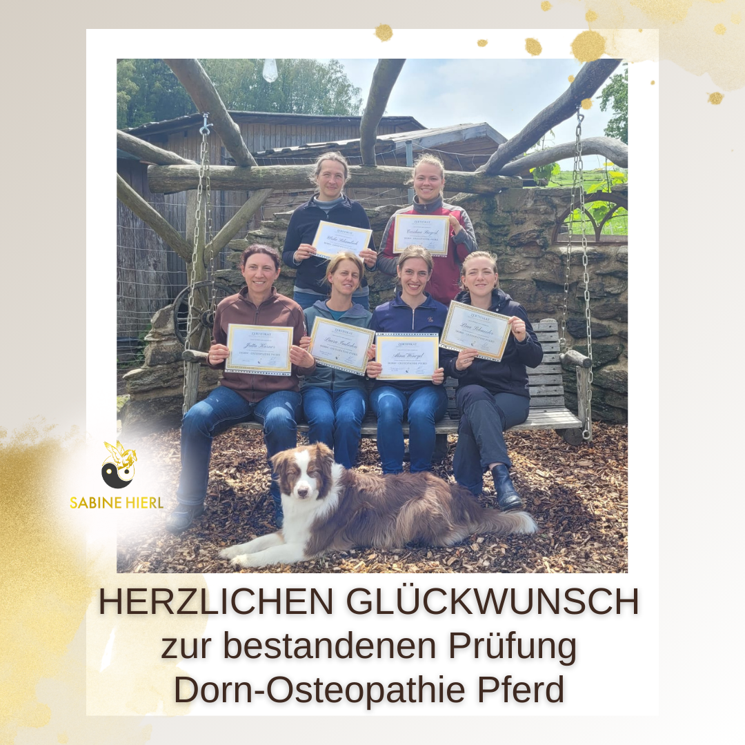 Dorn-Osteopathie Pferd. Schüler mit Zertifikat in Händen