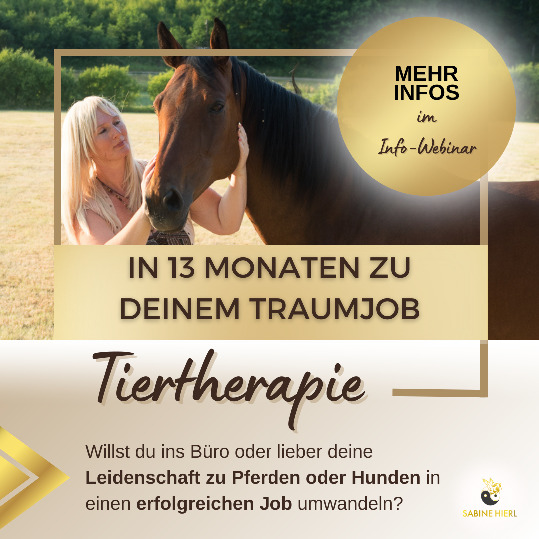 Biomedizinischer Tiertherapeut. Tierenergetik. Bild von Sabine Hierl mit Pferd und der Aufschrift in 13 Monaten zu deinem Traumjob in der Tiertherapie