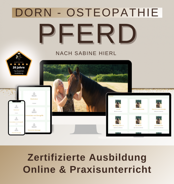 Dorn-Osteopathie Pferd. Bild über die Zertifizierte Ausbildung