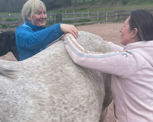 Dorn Osteopathie Pferd Sabine Hierl zeigt einer Schülerin die richtige Grifftechnik